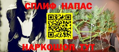 дмт Краснознаменск
