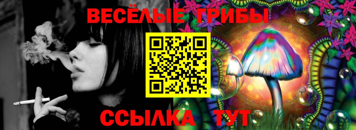 Екатеринбург  Псилоцибиновые грибы MAGIC MUSHROOMS  Галлюциногенные грибы Psilocybe  Вход с VPN 